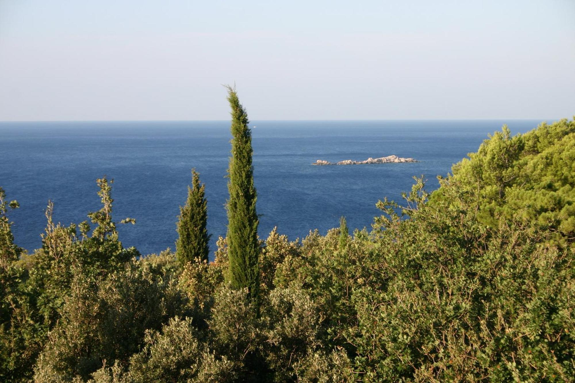 Apartmani Dub Cavtat Εξωτερικό φωτογραφία